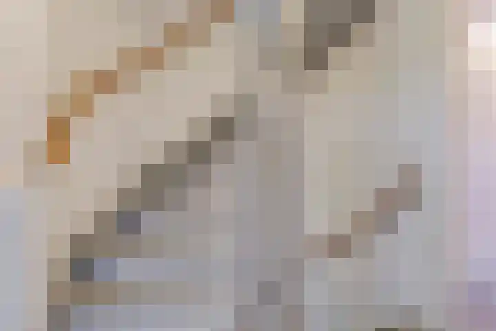 Bellefleur 7 Zetten thumbnail 47
