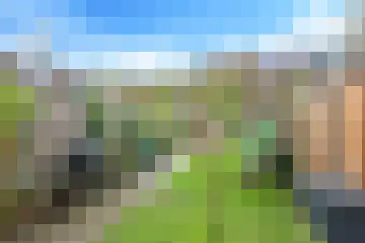 Bellefleur 7 Zetten thumbnail 65