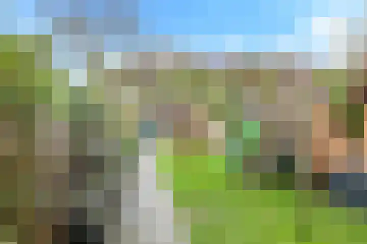 Bellefleur 7 Zetten thumbnail 66