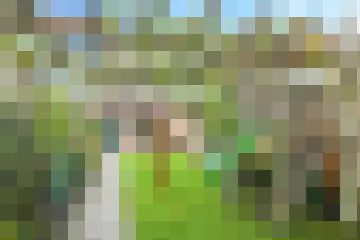 Bellefleur 7 Zetten thumbnail 67