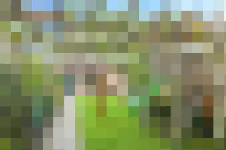 Bellefleur 7 Zetten thumbnail 9