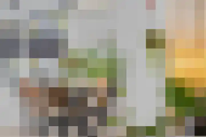 Bellefleur 76 Zetten thumbnail 10