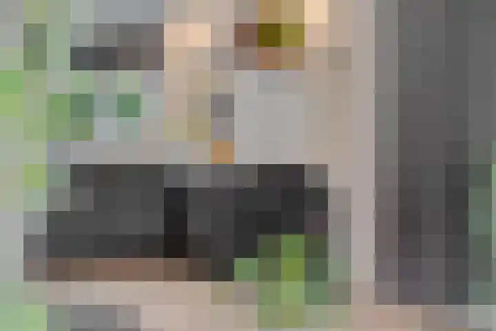Bellefleur 76 Zetten thumbnail 15