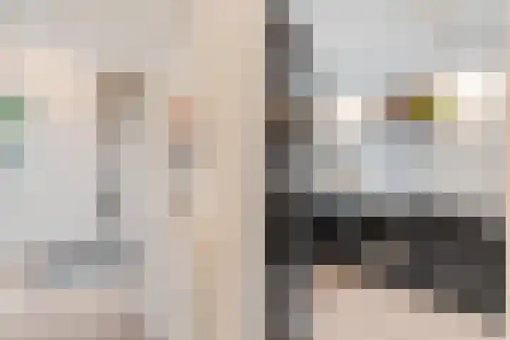 Bellefleur 76 Zetten thumbnail 16