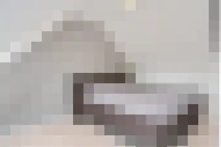 Bellefleur 76 Zetten thumbnail 29