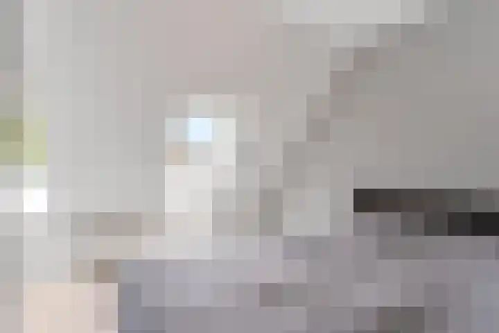 Bellefleur 76 Zetten thumbnail 30