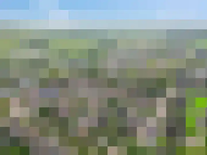 Bellefleur 76 Zetten thumbnail 32