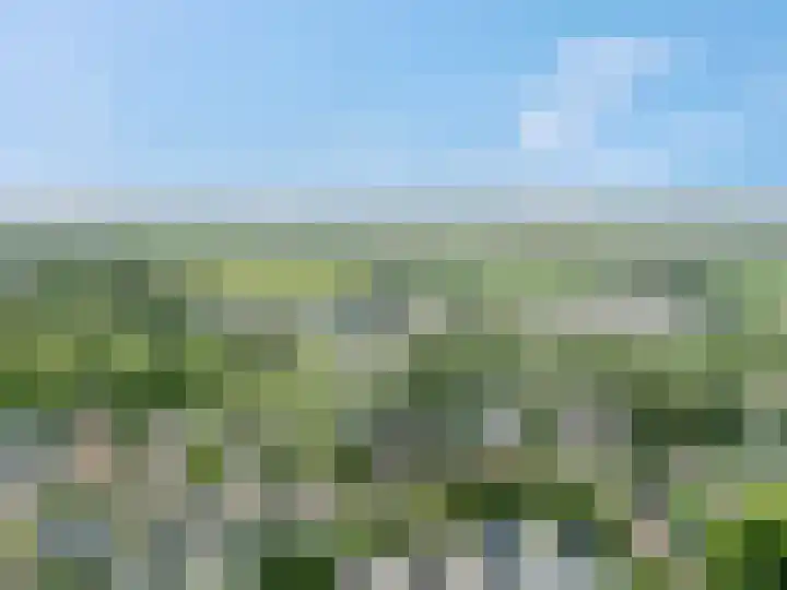 Bellefleur 76 Zetten thumbnail 37