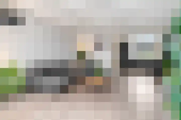 Bellefleur 76 Zetten thumbnail 7