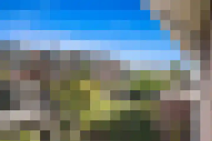 Bellefleur 79 Den Hoorn thumbnail 33