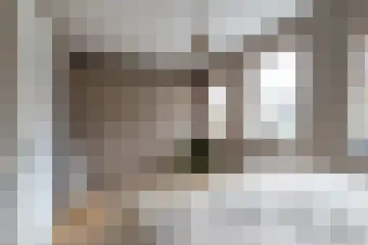 Bellefleur 8 Andel thumbnail 16