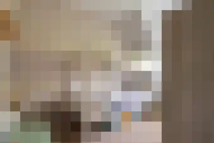 Bellefleur 8 Andel thumbnail 18