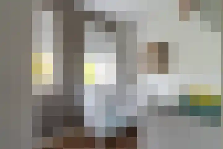 Bellefleur 8 Andel thumbnail 20
