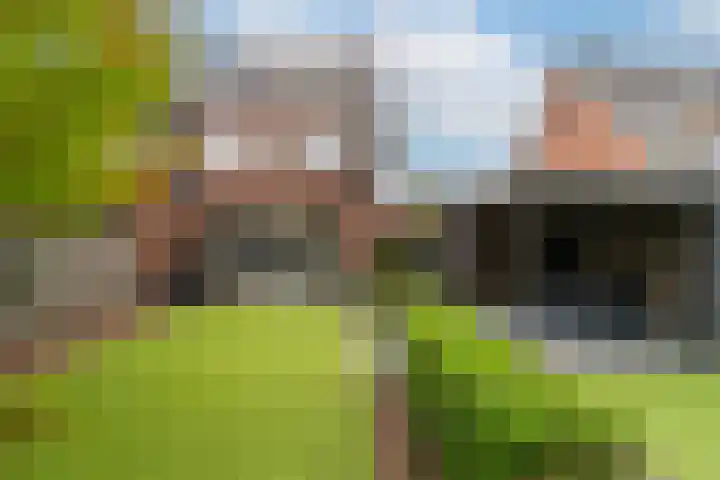 Bellefleur 8 Andel thumbnail 26
