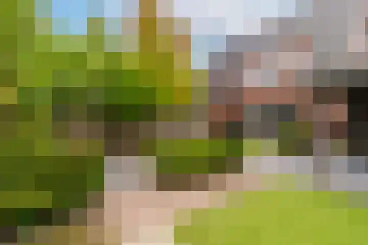 Bellefleur 8 Andel thumbnail 28