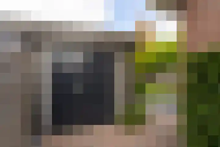 Bellefleur 8 Andel thumbnail 29