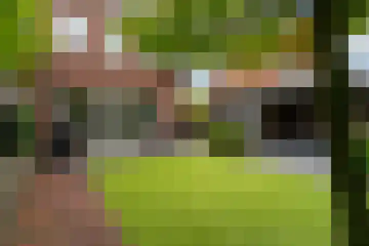 Bellefleur 8 Andel thumbnail 30