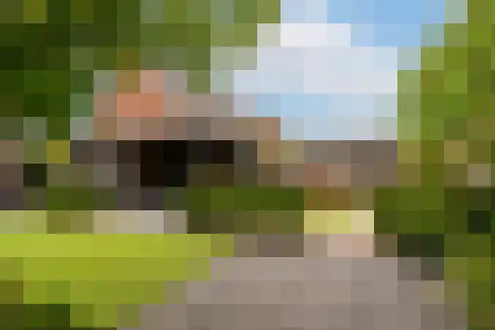Bellefleur 8 Andel thumbnail 31