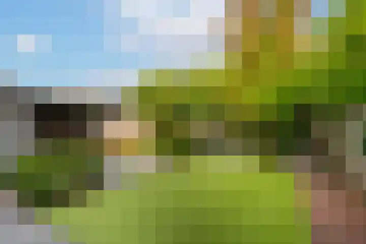 Bellefleur 8 Andel thumbnail 32