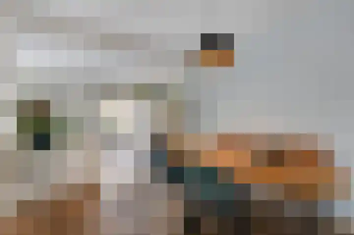 Bellefleur 93 Duiven thumbnail 17