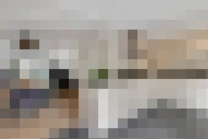 Bellefleur 93 Duiven thumbnail 19