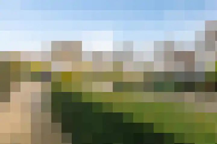 Bellefleur 93 Duiven thumbnail 66