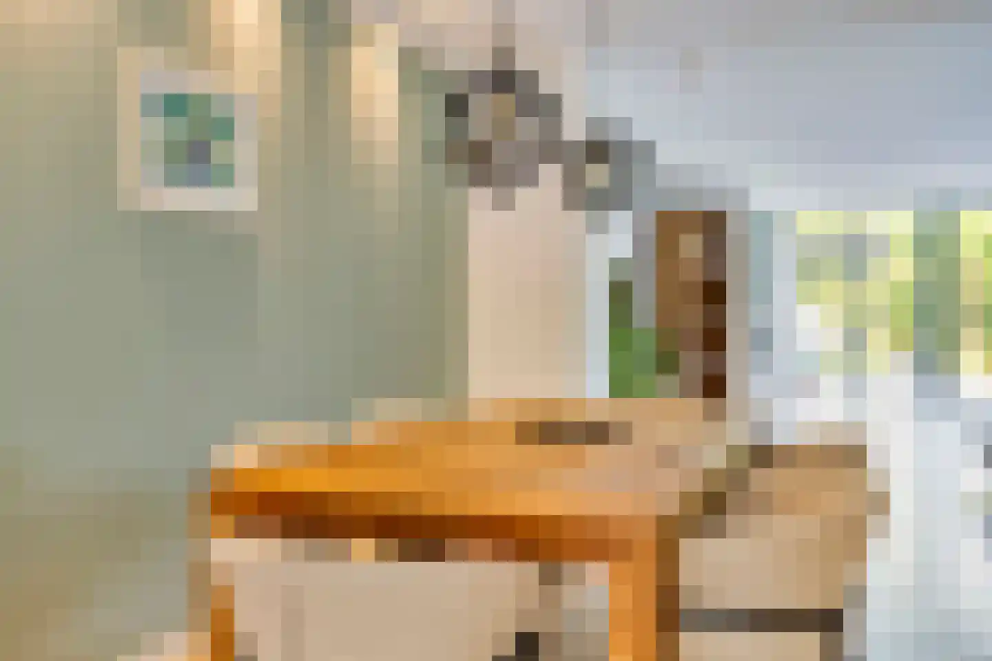 Bellefleurhof 12 A Zoetermeer thumbnail 14