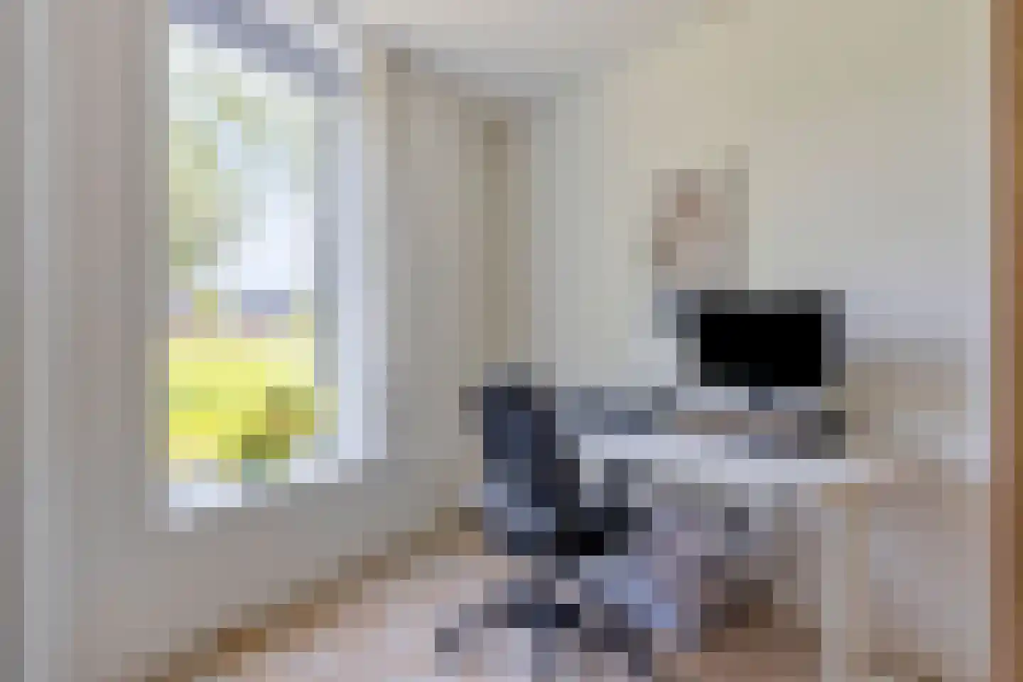 Bellefleurhof 12 A Zoetermeer thumbnail 32