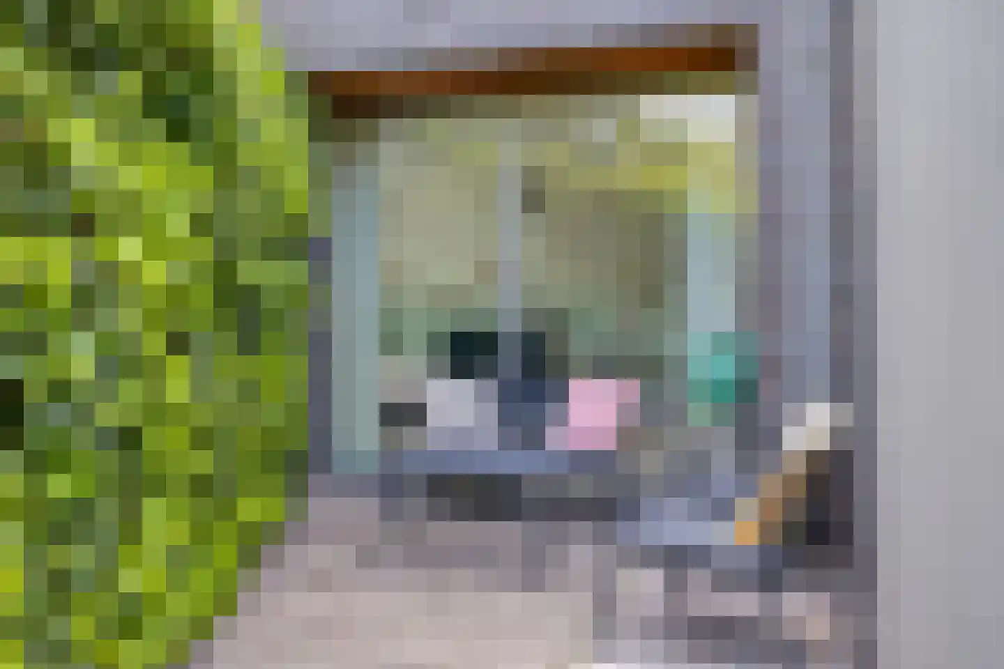 Bellefleurhof 12 A Zoetermeer thumbnail 37