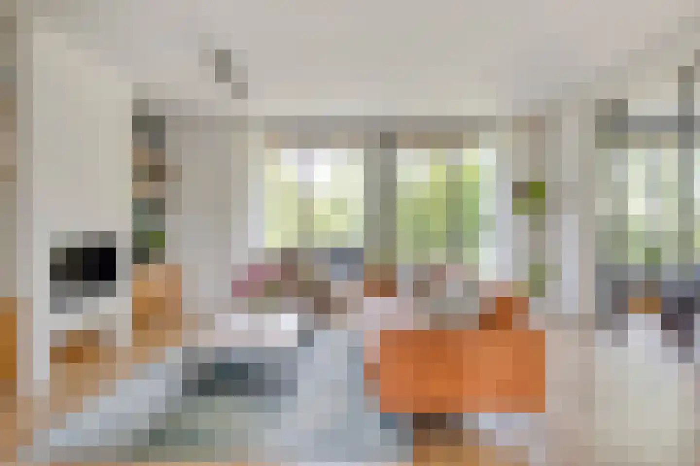 Bellefleurhof 12 B Zoetermeer thumbnail 10