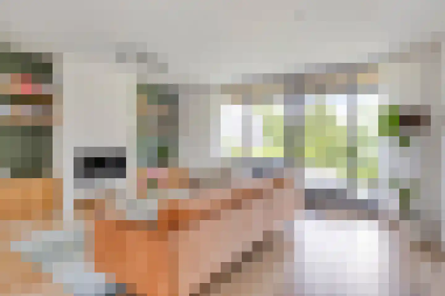 Bellefleurhof 12 B Zoetermeer thumbnail 11