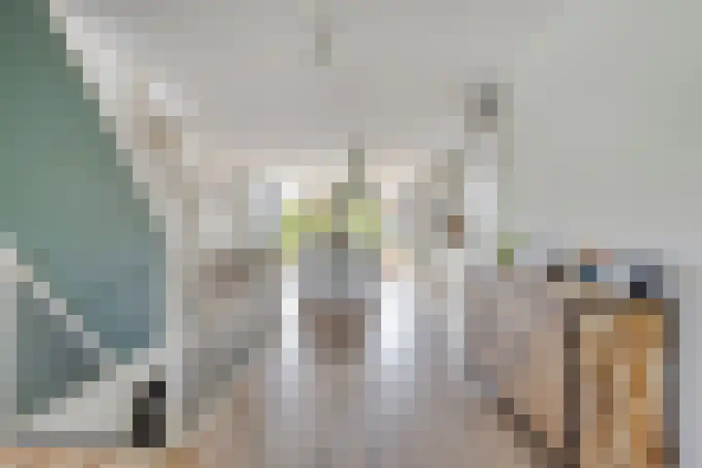 Bellefleurhof 12 B Zoetermeer thumbnail 18