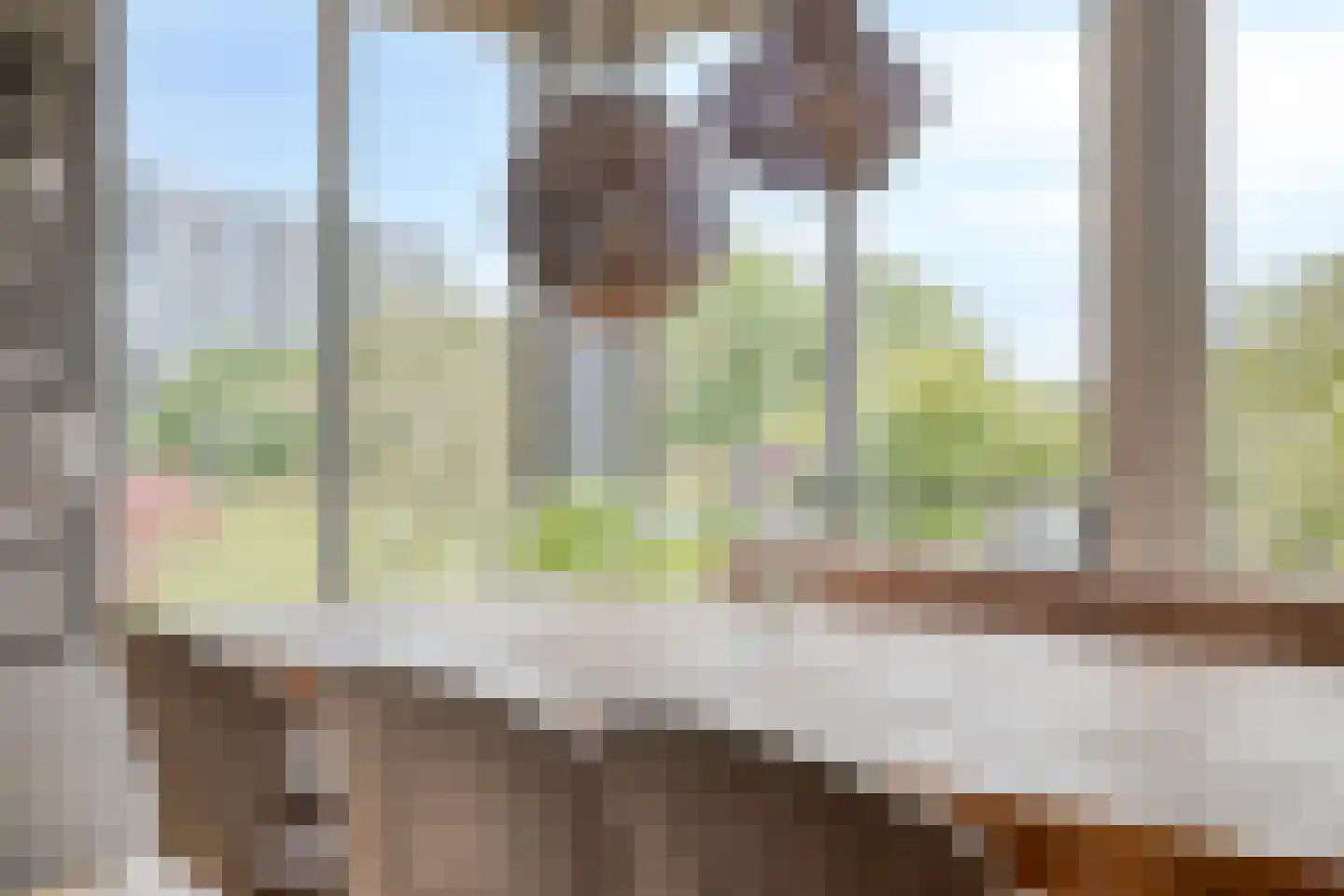 Bellefleurhof 12 B Zoetermeer thumbnail 20