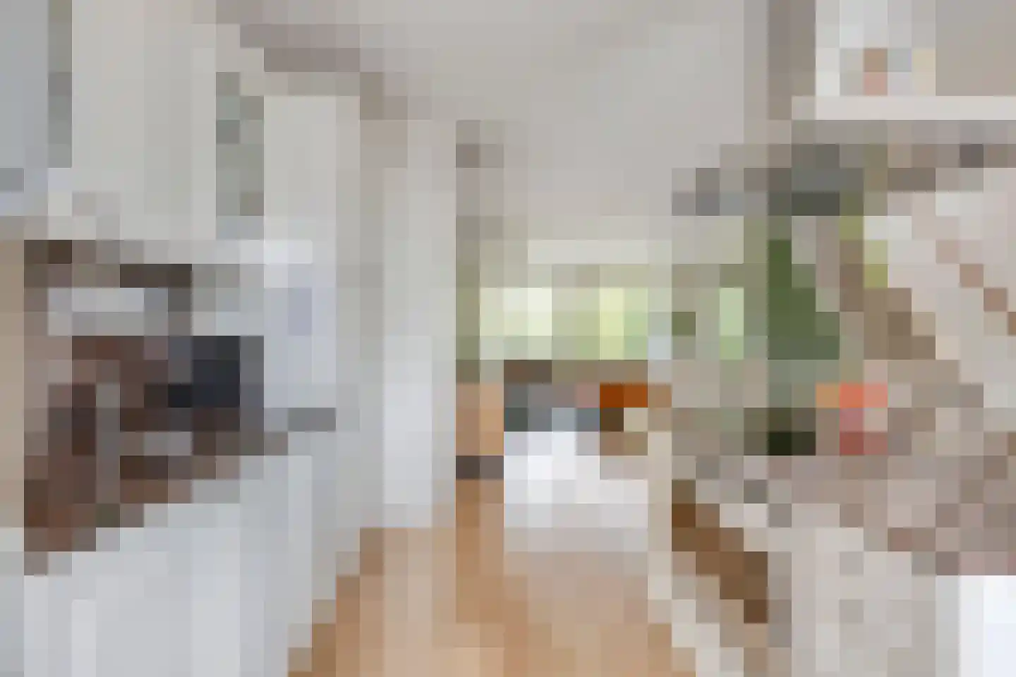 Bellefleurhof 12 B Zoetermeer thumbnail 23
