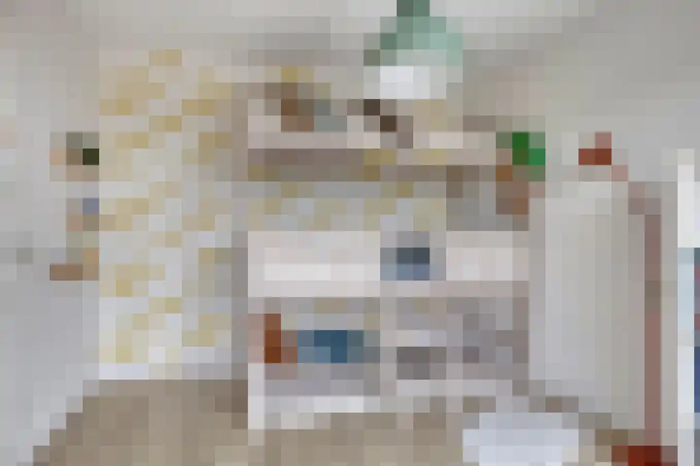 Bellefleurhof 12 B Zoetermeer thumbnail 33