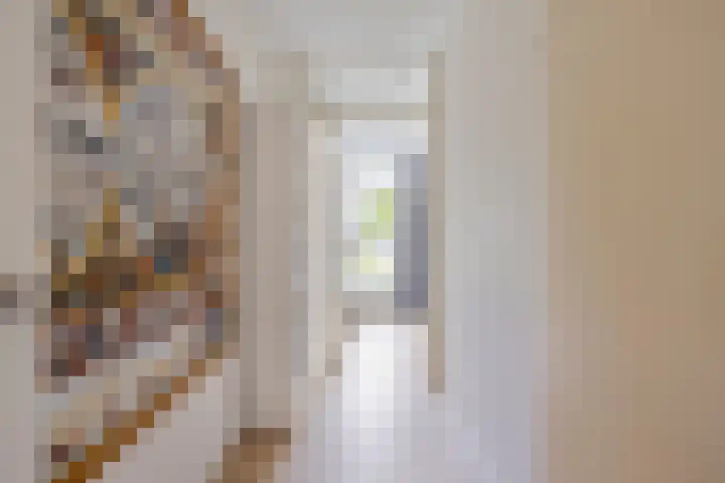 Bellefleurhof 12 B Zoetermeer thumbnail 35