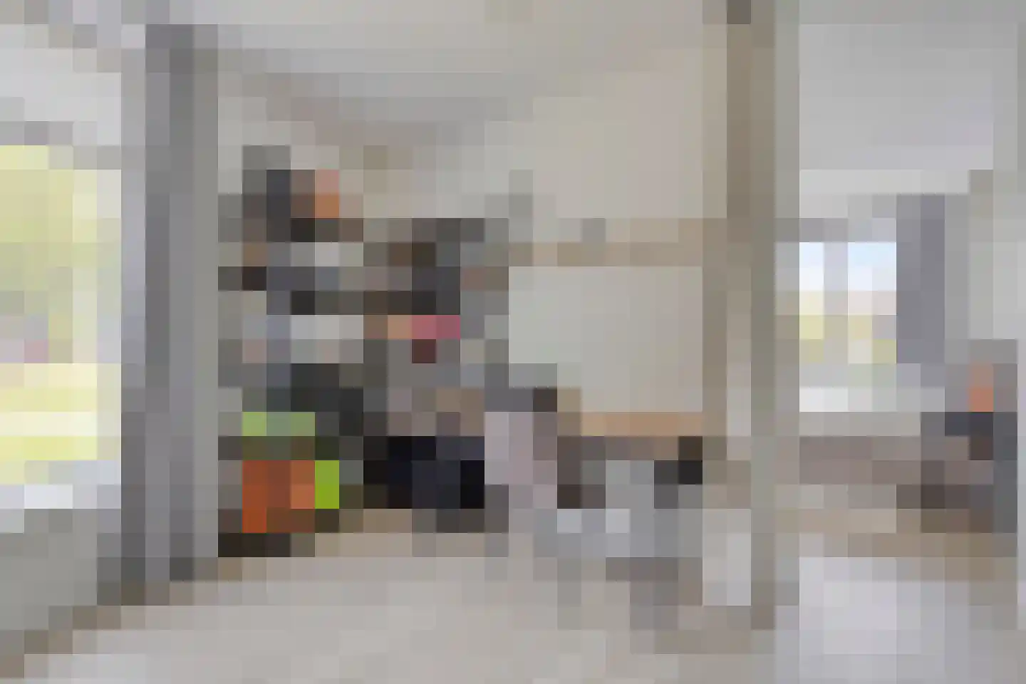 Bellefleurhof 12 B Zoetermeer thumbnail 36