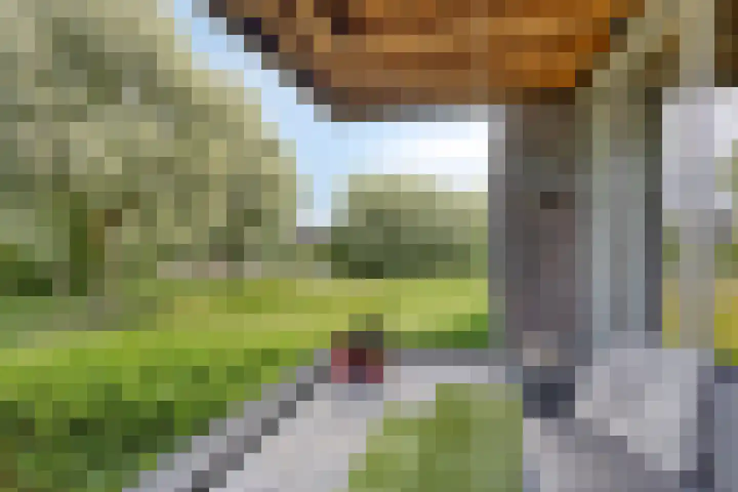 Bellefleurhof 12 B Zoetermeer thumbnail 40