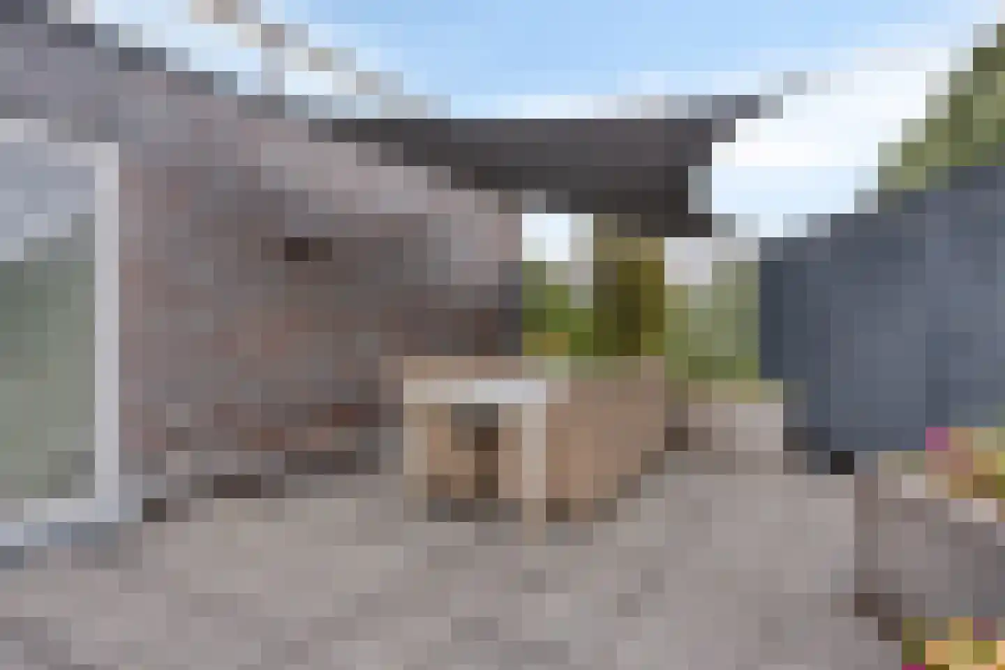 Bellefleurhof 12 B Zoetermeer thumbnail 51