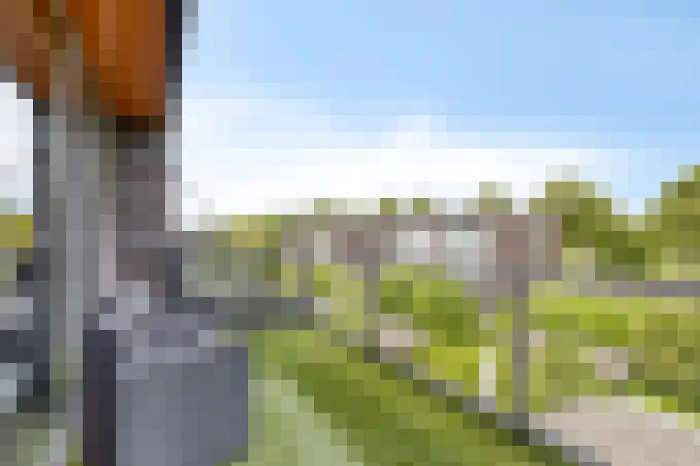 Bellefleurhof 12 B Zoetermeer thumbnail 55