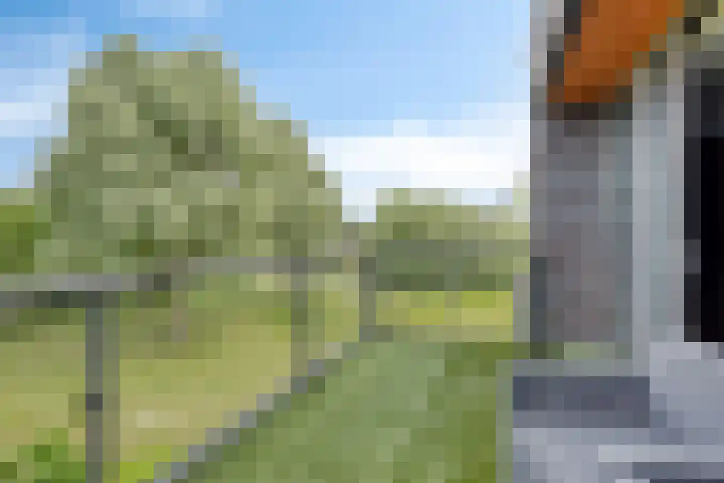 Bellefleurhof 12 B Zoetermeer thumbnail 56