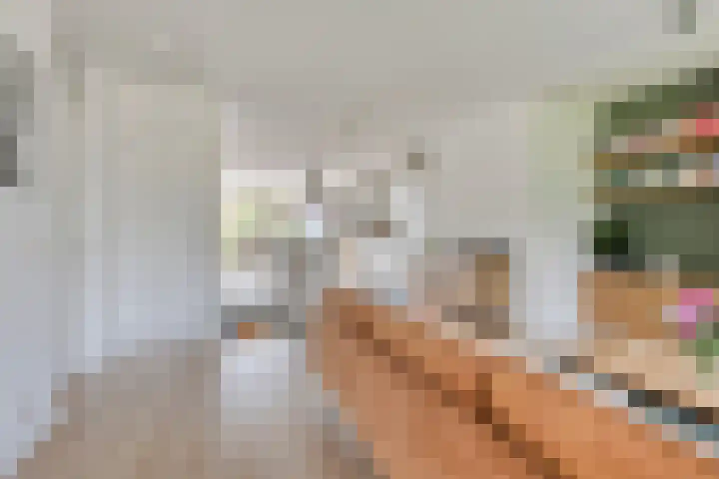 Bellefleurhof 12 B Zoetermeer thumbnail 9