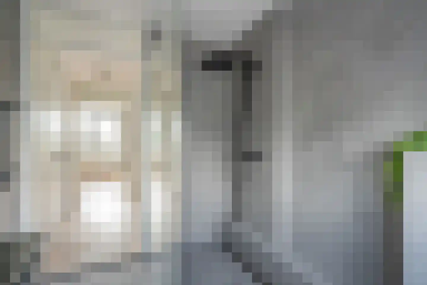 Bellefleurhof 24 Zoetermeer thumbnail 23