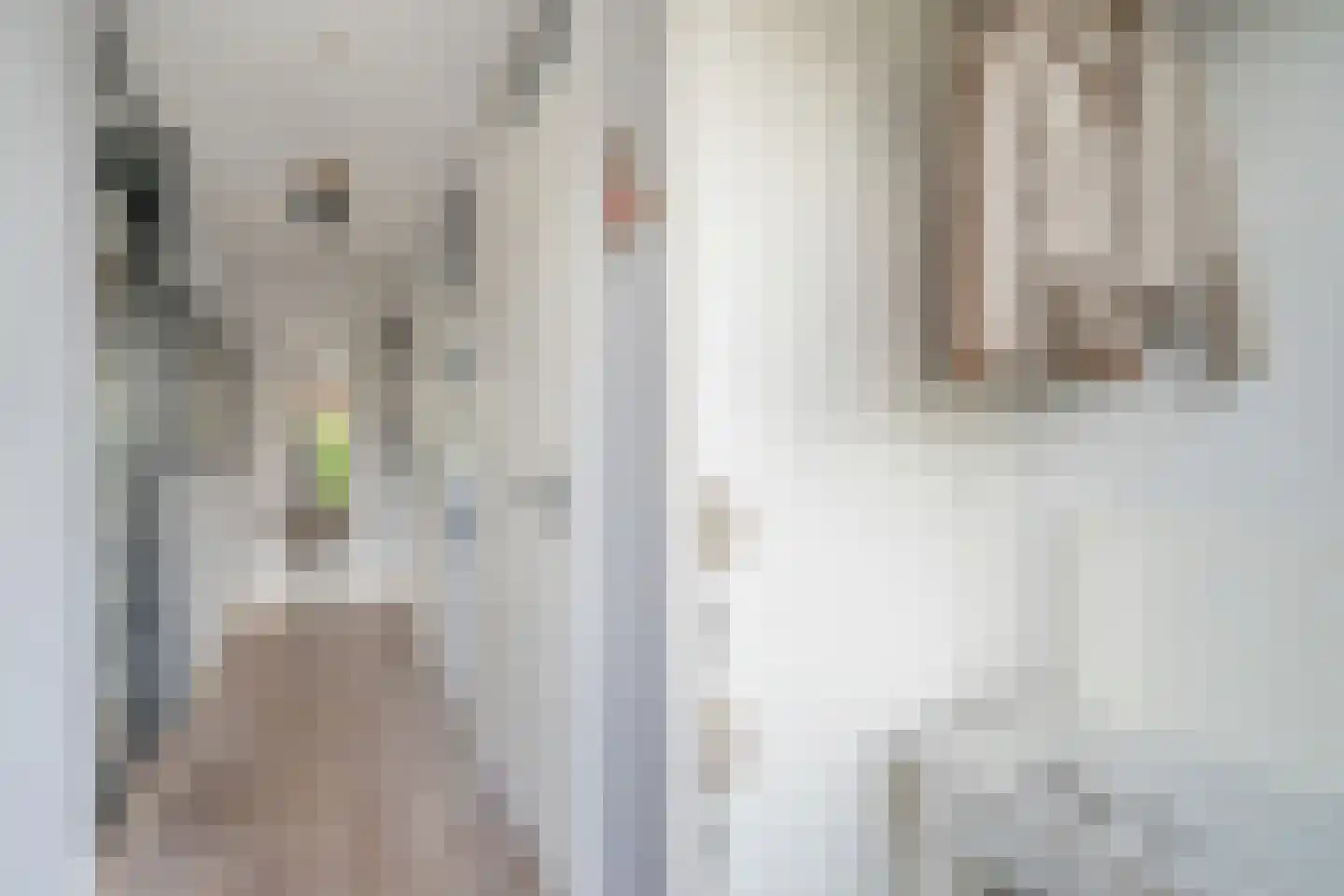 Bellefleurhof 24 Zoetermeer thumbnail 5