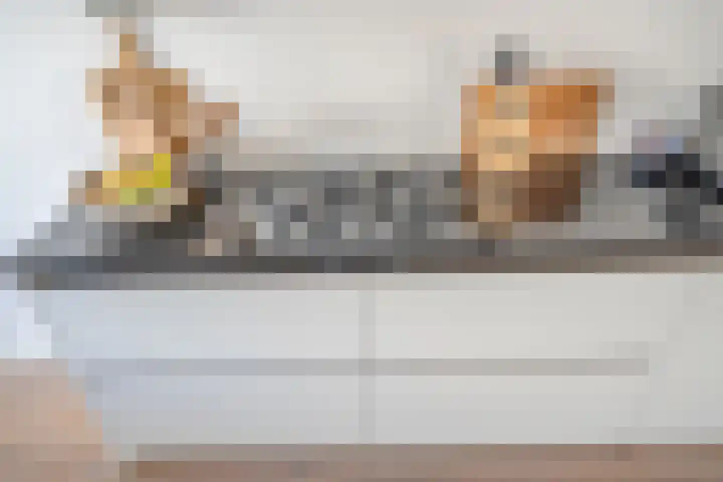 Bellefleurhof 24 Zoetermeer thumbnail 8