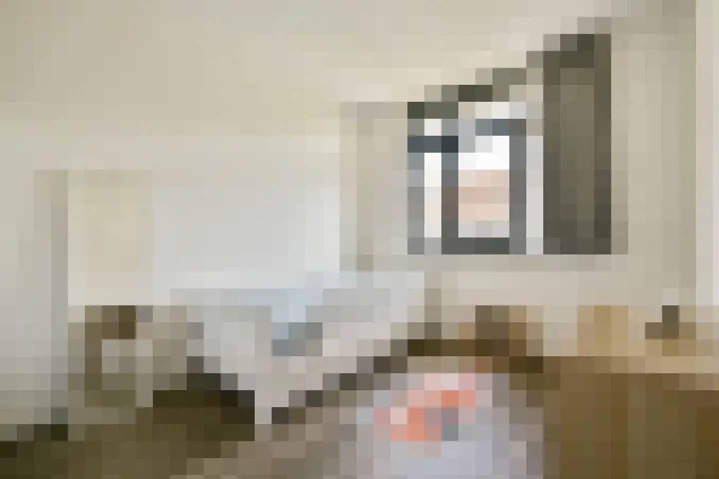 Bellefleurhof 29 Amsterdam thumbnail 22