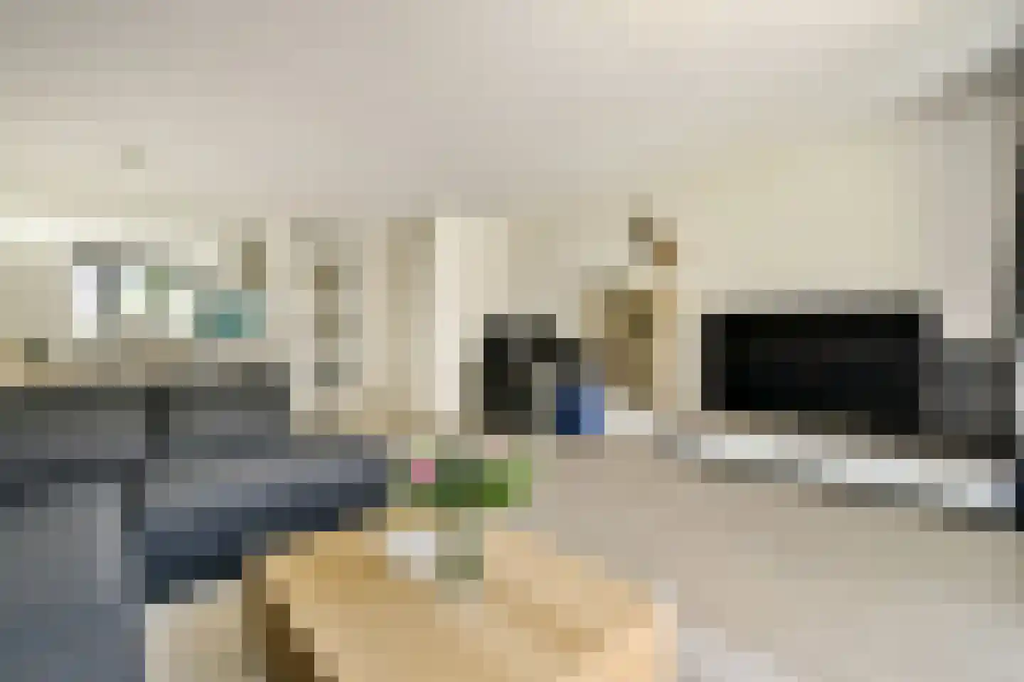 Bellefleurhof 29 Amsterdam thumbnail 7