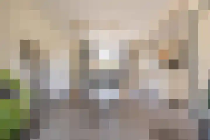 Bellefleurhof 4 Maurik thumbnail 14