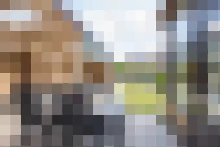 Bellefleurhof 4 Maurik thumbnail 25
