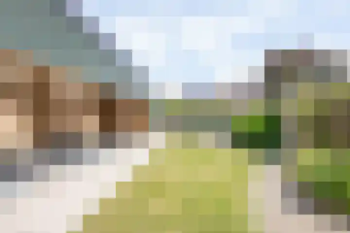 Bellefleurhof 4 Maurik thumbnail 26